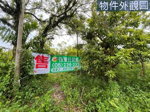 竹崎內埔子小筆俗農地 嘉義縣竹崎鄉內埔子段