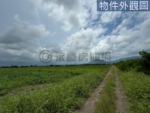 恆春大埔漂亮農地 臨10米路 車輛好出入 屏東縣恆春鎮大埔段