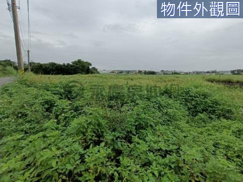 新豐雙邊臨路美農地 新竹縣新豐鄉崁頭段