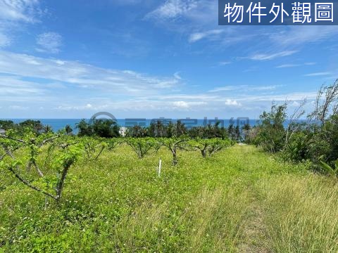 台東成功近省道旁天空超美無敵海景農地-農海934 台東縣成功鎮小馬東段