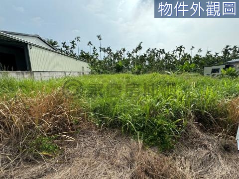 內埔近義大醫院都內方正退休休閒農地 屏東縣內埔鄉新埔段