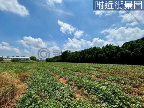 清水區東山段大地坪可種植臨路農地 台中市清水區東山段