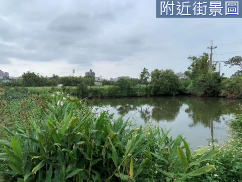 山子頂都計內農地 開心農場 桃園市平鎮區南華段