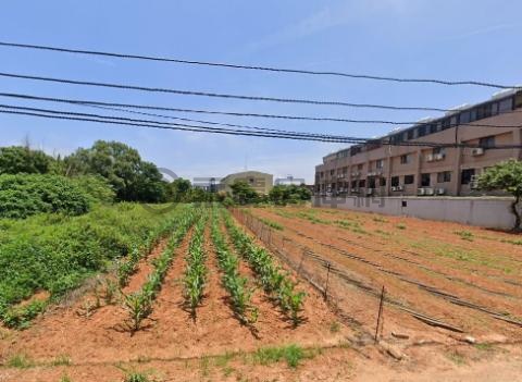 中科特定計畫｜台積電旁｜東晉東路農地362坪 台中市大雅區清雅段