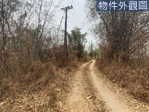 大坪頂延伸計畫區投資農地 高雄市大寮區林內段