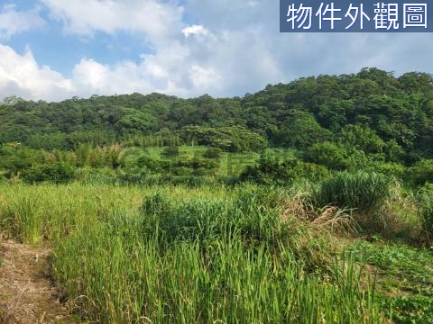 頂田寮有土斯有財臨路有水源農地 新北市淡水區蕃薯段