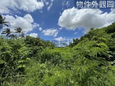 台南#學甲1.42分#信義社區都內農地 台南市學甲區信義段