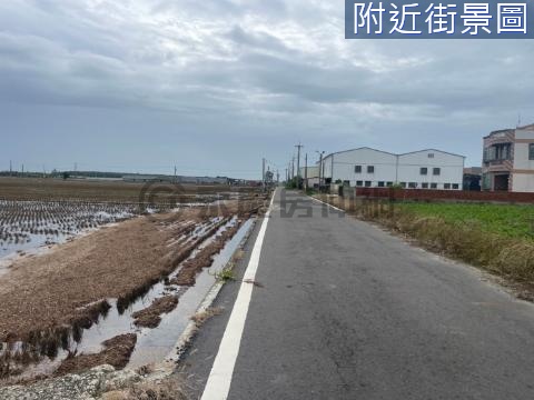 布袋樹林農地 嘉義縣布袋鎮樹林頭段樹林小段