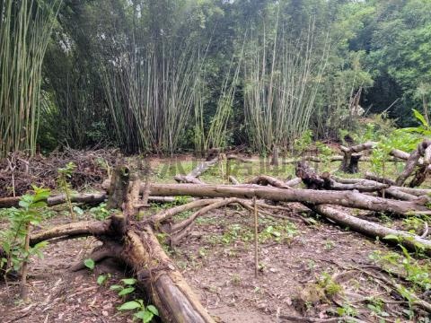 大溪低總價小坪數農地2~稀有釋出 桃園市大溪區信義段