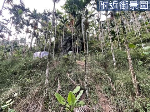 歡迎配件 中埔石硦2甲6分檳榔桂竹筍景觀林地 嘉義縣中埔鄉石硦段