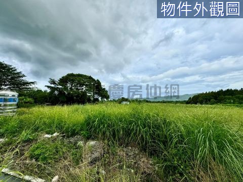 🌸花蓮壽豐忠孝綠映美景休閒小農地（ㄧ） 花蓮縣壽豐鄉忠孝段