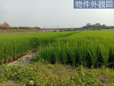 柳營大腳陽光田園農地 台南市柳營區大脚腿段