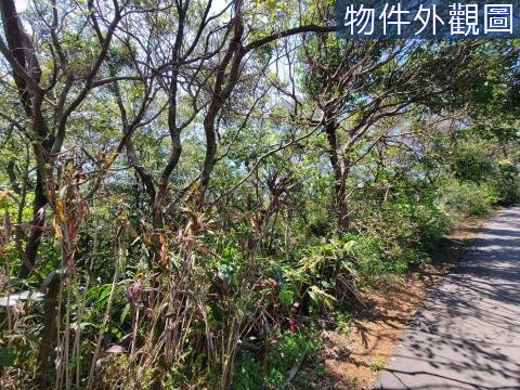 淡水區興仁段山海觀馬場旁農地B 新北市淡水區興仁段