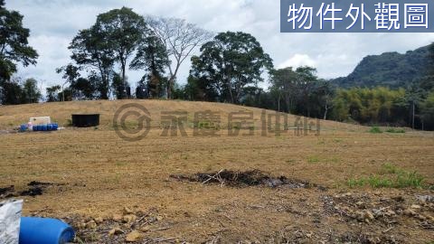 中寮清水村環視群峰雲霧繚繞景觀有機農牧地可分割賣 南投縣中寮鄉清水段