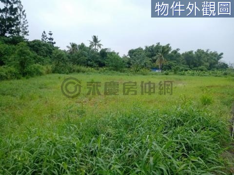 新化20米路適百業農地 台南市新化區新化段太子廟小段