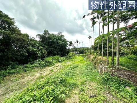 名間虎子坑段2.7分低總價農牧用地 南投縣名間鄉虎子坑段