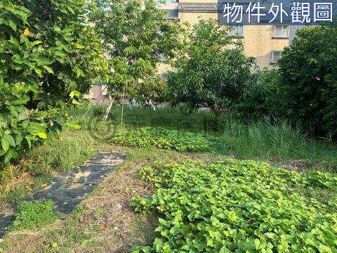 聖母廟城中豪宅建地 台南市安南區城中段