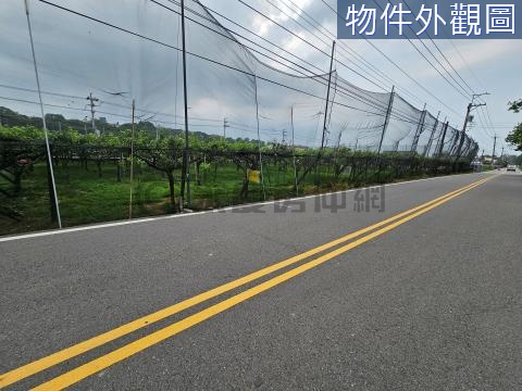 新社雙臨路方正農地 台中市新社區水底寮段上水底寮小段