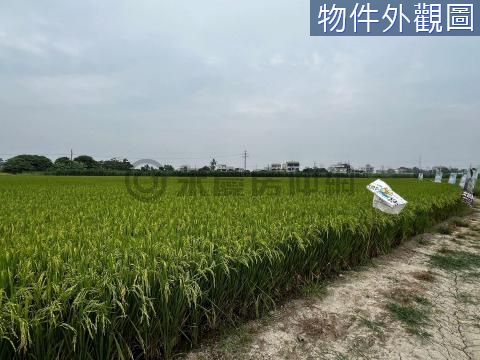 台南善化近庄頭有水電2.2分農地 台南市善化區大同段