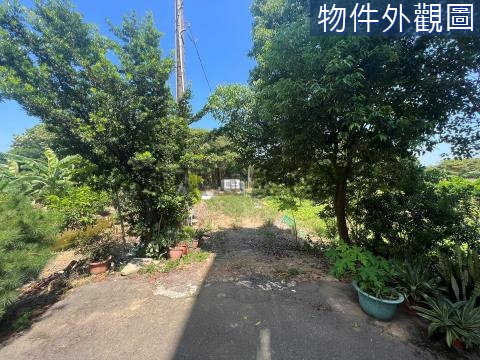 八德區茄苳段都計內農地 臨六米路 桃園市八德區茄苳段