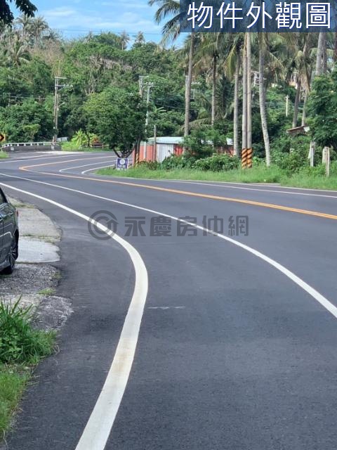 近都蘭正台11省道旁低總價獨棟建地-建K143 台東縣東河鄉北都蘭段