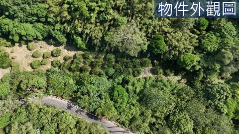 寶山雞油凸平坦橘園 新竹縣寶山鄉雞油凸段雞油凸小段