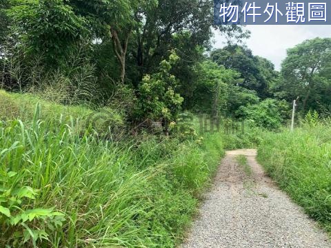 嘉義後花園都計小農地E 嘉義市嘉義市崎頂段