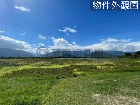 🌈池上鄉大坡池稻穀聲浪打卡景觀建地-C 台東縣池上鄉大池段