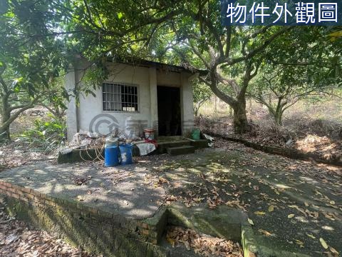 名間鄉山明水秀貨車可達資材山坡地 南投縣名間鄉濁水段