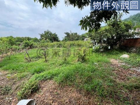 岡山阿公店水庫旁農地 高雄市岡山區菜寮段