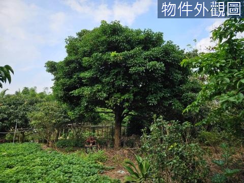 楊梅1296一般農資材室 桃園市楊梅區高雙段