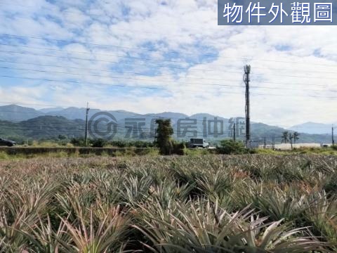 新埤餉潭 沿山公路旁 小農地 屏東縣新埤鄉餉潭段