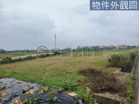 觀音文化路雙面臨路農地 桃園市觀音區育仁段