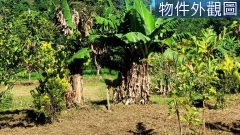 臨溪全平坦農地有自來水有電 新竹縣橫山鄉沙坑壹段