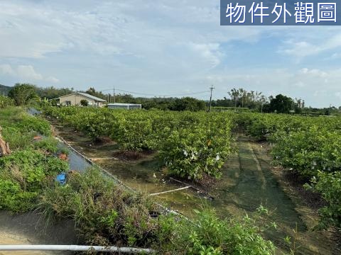 燕巢區離塵不離城土壤肥沃漂亮農地 高雄市燕巢區坑口段