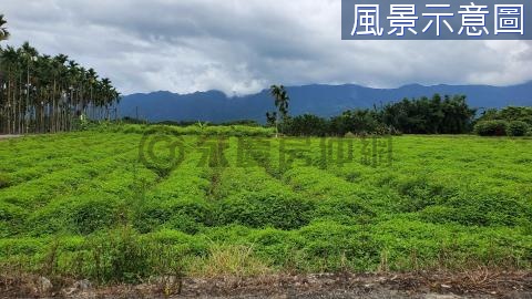 瑞穗舞鶴茶園平坦方正美農地14F171 花蓮縣瑞穗鄉舞鶴東段