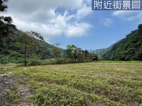 員山鄉大礁溪近三層坪山坡地保育區農地 宜蘭縣員山鄉望龍埤段