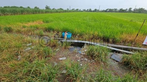 太保近高鐵站美農地 嘉義縣太保市田尾段田尾小段