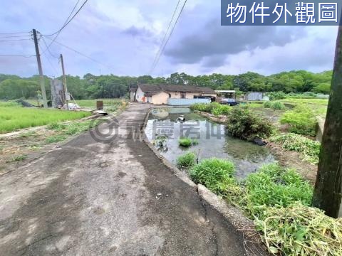 神岡李洲段農建地 台中市神岡區李洲段