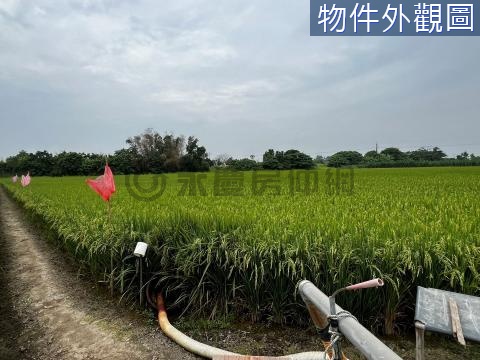 台南善化近庄頭有水電1.8分農地 台南市善化區六分段