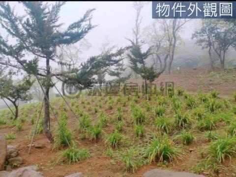 888三芝橫山超便宜土地地主誠意出售A 新北市三芝區橫山段