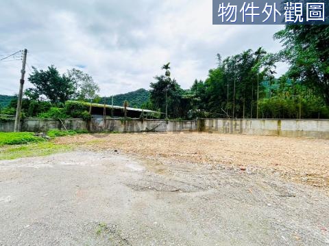 (M)專任埔里福興溫泉旁425坪臨路6米建地 南投縣埔里鎮福興段