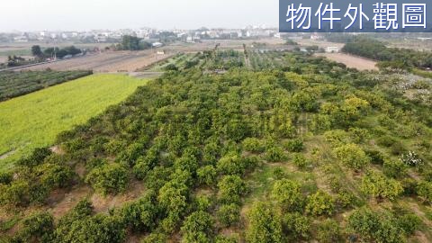 大崙農地 雲林縣斗六市大崙段大崙小段