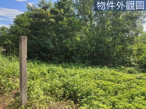 田中高鐵產一建地-投資自用兩相宜 彰化縣田中鎮高鐵段