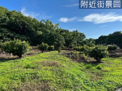 草屯富林路丙建大莊園~多筆可選擇! 南投縣草屯鎮富頂段