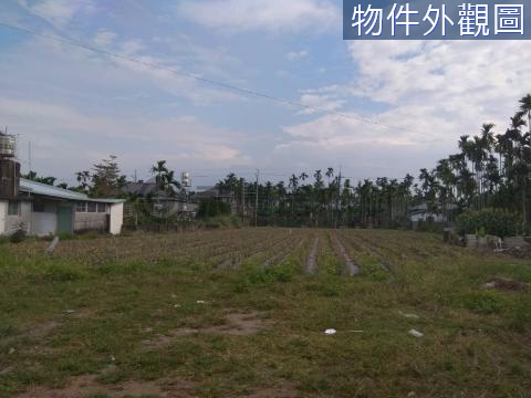 內埔屏科大鄉村建地+農地(U1)前後路.近屏科大 屏東縣內埔鄉東片段