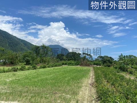 🍃獨家專售近秀林鄉公所~太魯閣山海美景原保農地 花蓮縣秀林鄉帛士林段