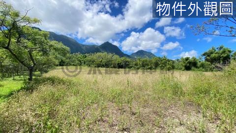 🌈獨家專售台東都蘭可看海大坪數都外美農地🌈 台東縣東河鄉藍寶段