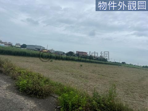 ①可農保漚汪臨路6米方正美農地 台南市將軍區漚汪段北甲小段