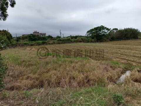 (廣)近觀音市區66美農地 桃園市觀音區育仁段